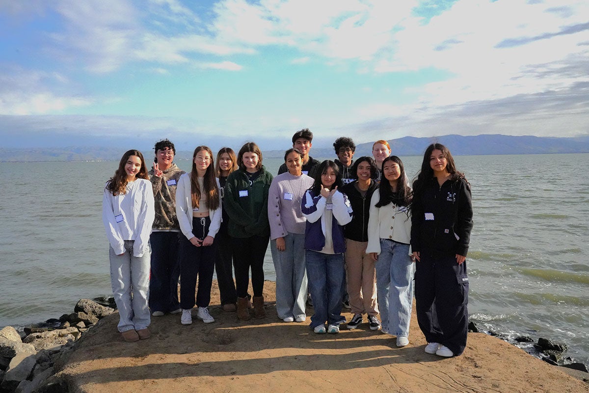 YCA-Cohort
