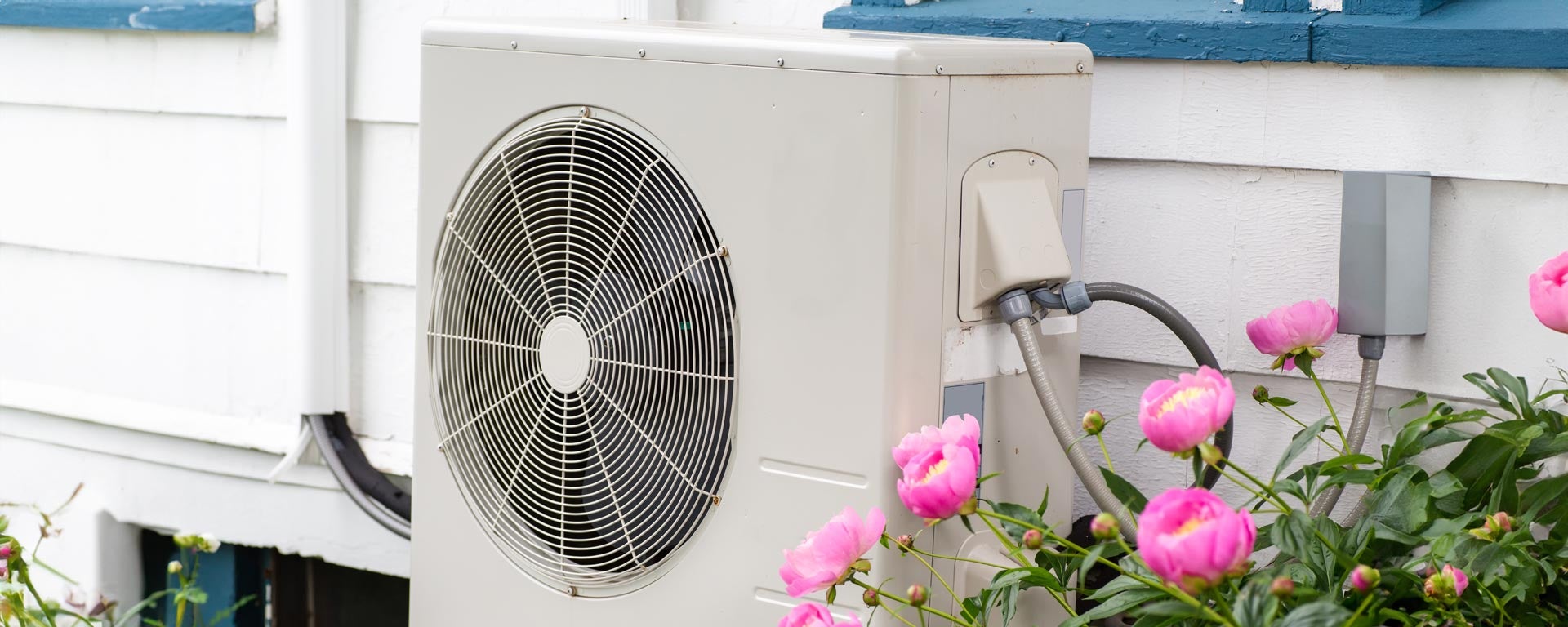 home heat pump mounted outside house next to flowering peonies